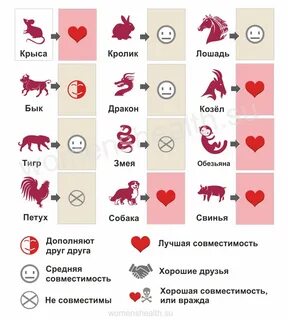Гороскоп по годам совместимость мужчина и женщина