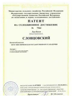 Срок патента на селекционное достижение