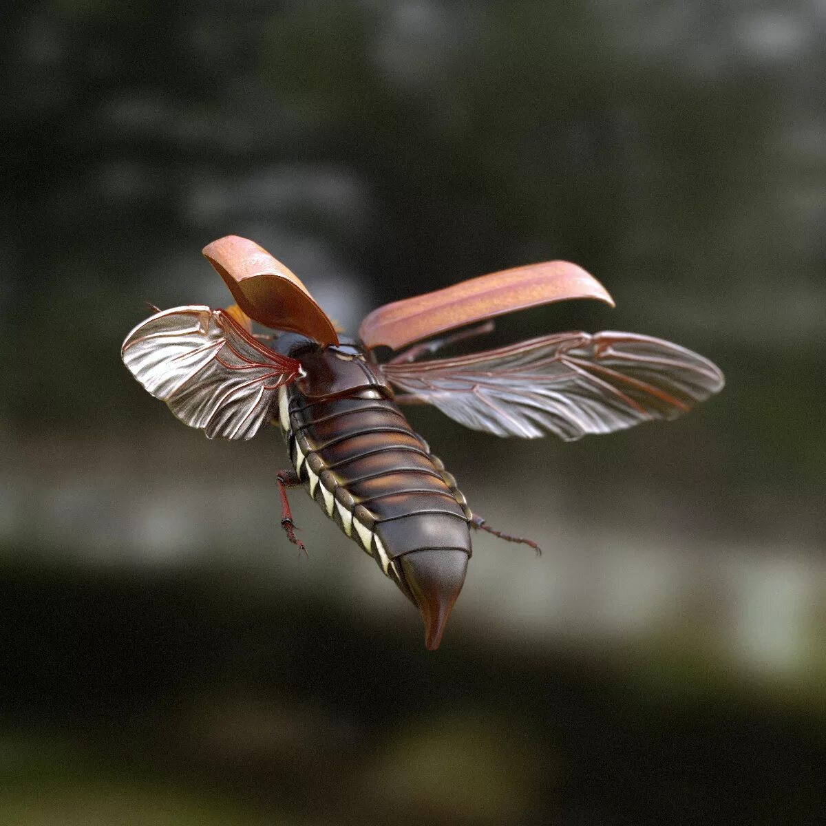 May bug. Bug wings. bugs wings выставка. bottlefly wings. renghar model bug.