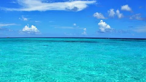 Blue ocean 2