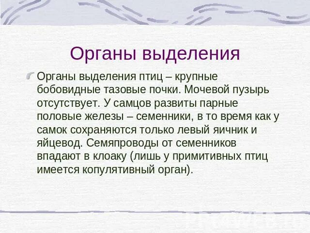 Основными органами выделения у птиц являются. Органы выделения птиц. выделение у птиц. процесс выделения у птиц. выделительная птиц.