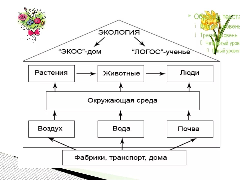 Экология это 3 класс. Что такое экология 3 класс окружающий мир. Экология схема. Презентация по экологии 3 класс.