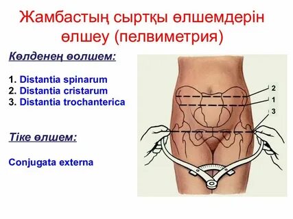 Жалаңаш сән көрсетілімдері