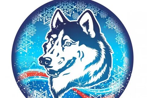 Вольф тамбов