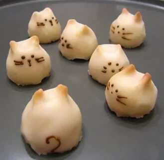 Кошачий рецепт