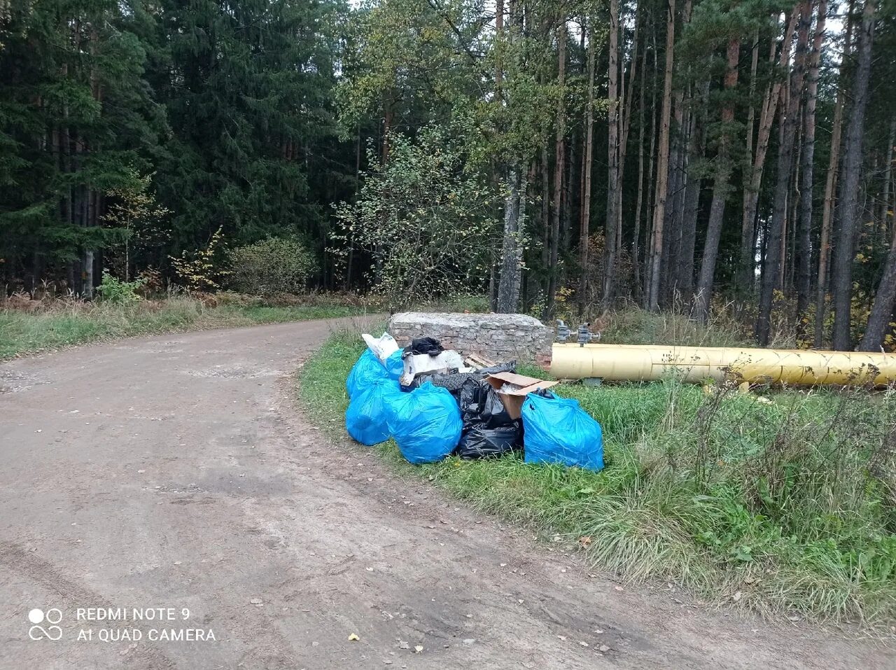 Погода в ярцево в часах