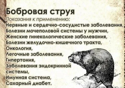 Как применять бобровую