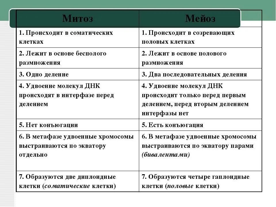 Сравнение митоза и мейоза таблица. Сравнительная характеристика митоза и мейоза таблица. Сравнительная характеристика митоза и мейоза различия. Отличие митоза от мейоза таблица. Сравнительная таблица митоза от мейоза.