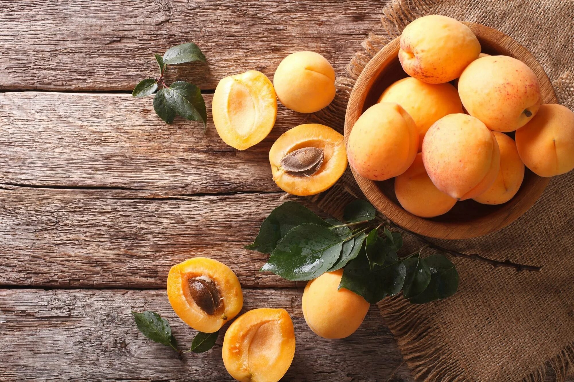 Сон ела абрикосы. Apricots – абрикосы. скраб абрикос apricot scrub. абрикос горный абакан. урюк ягода.