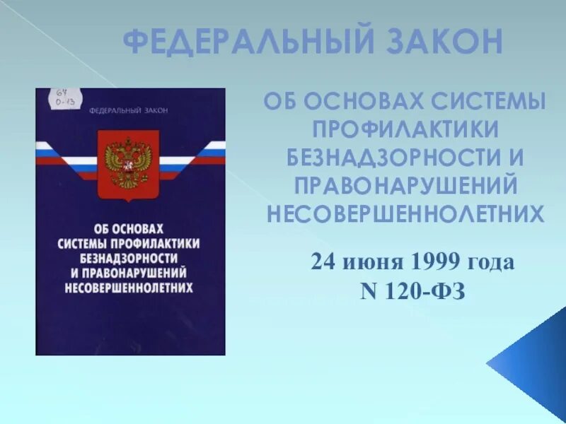 Фз120 об основах системы профилактики. Основа системы профилактики преступности. ФЗ 120. Федеральный закон 120-ФЗ.