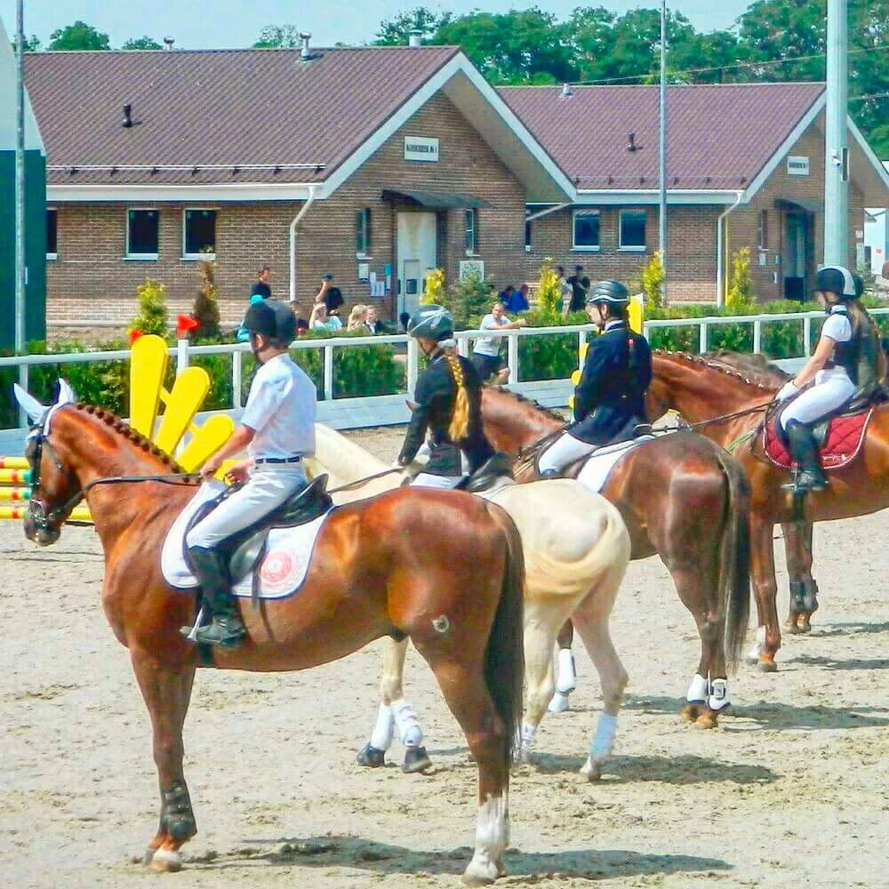 КСК Голден Хорс Таганрог. Golden Horse Таганрог. Таганрог конно-спортивный клуб Golden Horse. Golden Horse Таганрог гостиница. Гостиница голден хорс