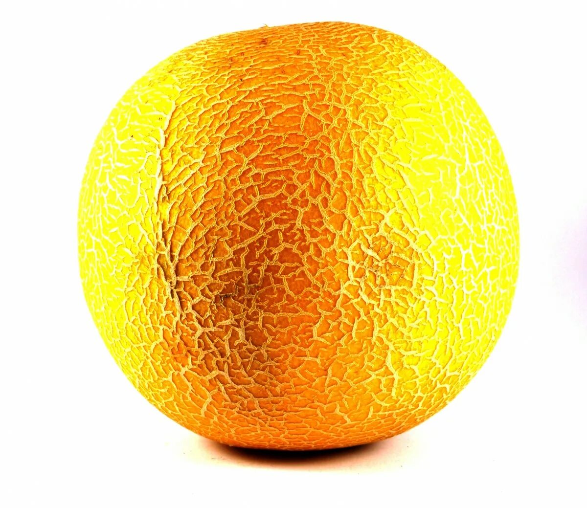 Дыня целая. Дыня целая. Дыня целая. Канталупа мускусная дыня. Дыня.