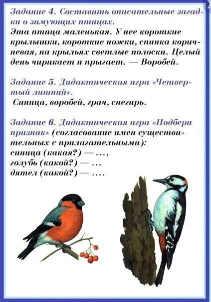Проект во второй младшей группе зимующие птицы Познавательная программа "Птицы - наши друзья" 2024, Свечинский район дата и м