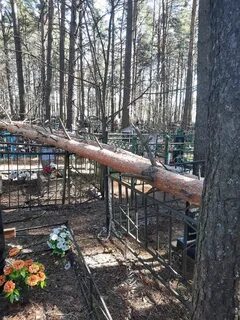 Могилы упали