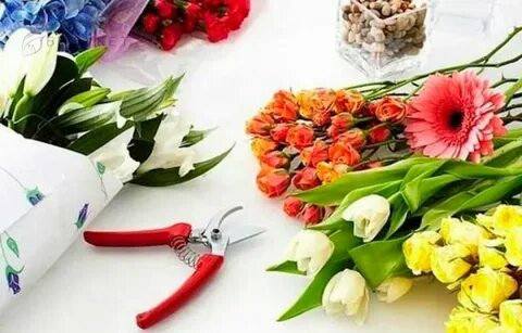 Продляем жизнь букету