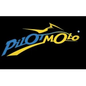Pilot фирма
