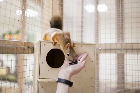 Страна енотия дудинская ул 3 красноярск
