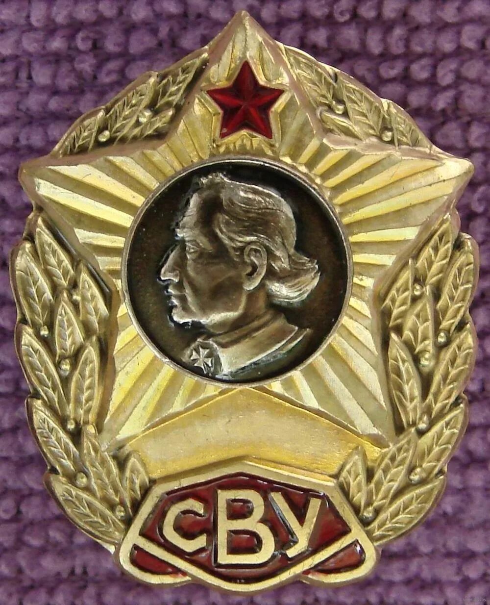 Знак сву. Знак Минское СВУ. СВУ училище знак училища. Значок Суворовского военного училища. Знак Минское Суворовское училище.