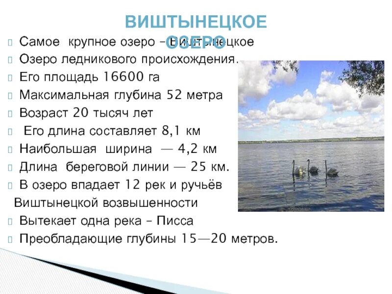 Какая глубина озера верхнее. Озеро Виштынец Калининградская область. Водоемы Калининградской области 4 класс. Реки и озера Калининградской области. Самые крупные озера.