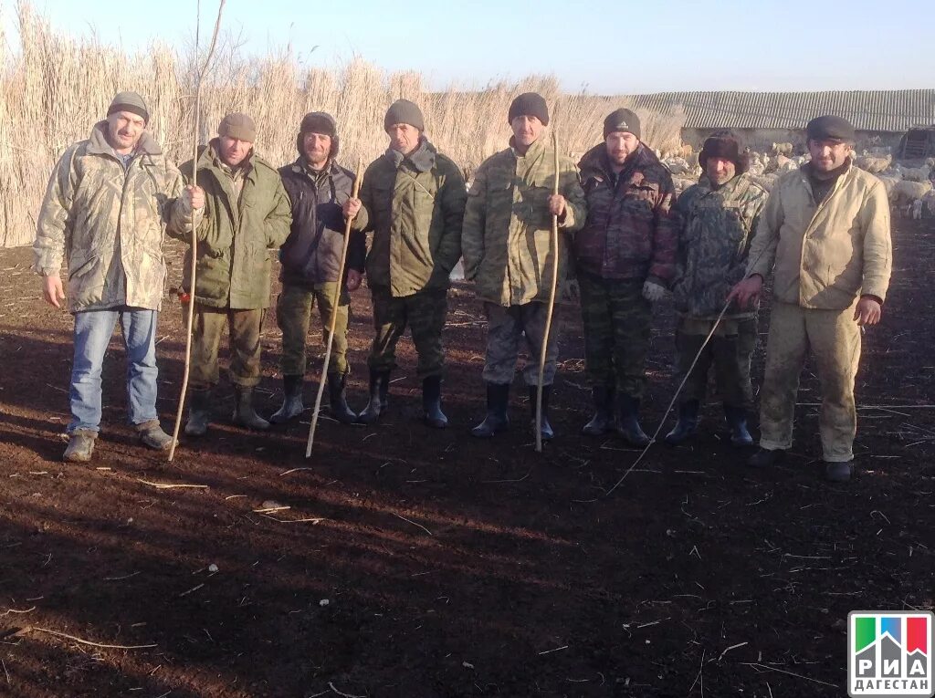 Рп 5 крайновка. Село Крайновка Кизлярского района Дагестанской АССР.. Дагестанская АССР, Кизлярский район, с. Крайновка. Агрофирма Шамгода. Деревня Крайновка Кизлярского района Дагестанской АССР.