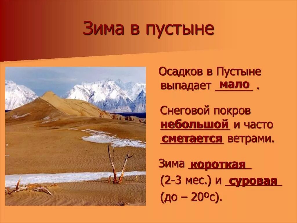 Средняя температура летом в пустыне. Пустыня летом и зимой. Климат пустыни зимой. Климат в пустыне зимой и летом. Осадки в пустынях.