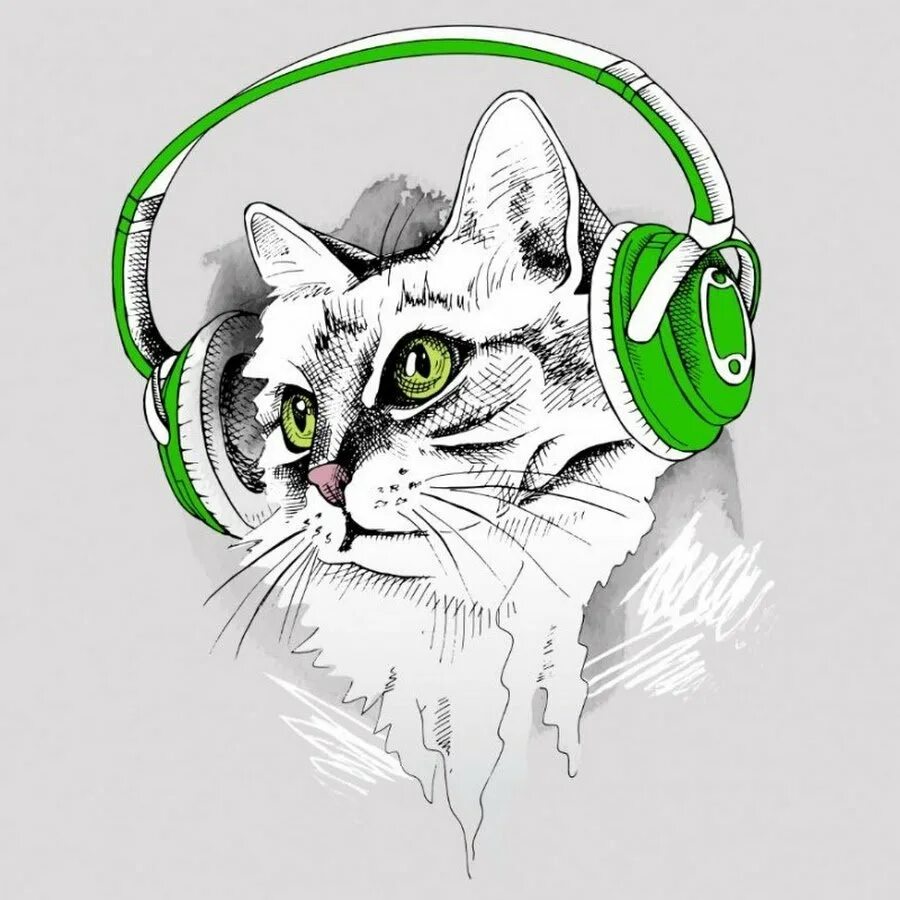 Кот рекомендует. Кот в наушниках. кошка с наушниками. кот в наушниках картинки. аватарка кот в наушниках.