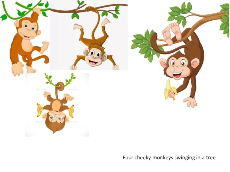 Monkey word. Cheeky monkey. 5 little monkeys swinging in a tree. картинка парк обезьян на английском языке 4 класс.