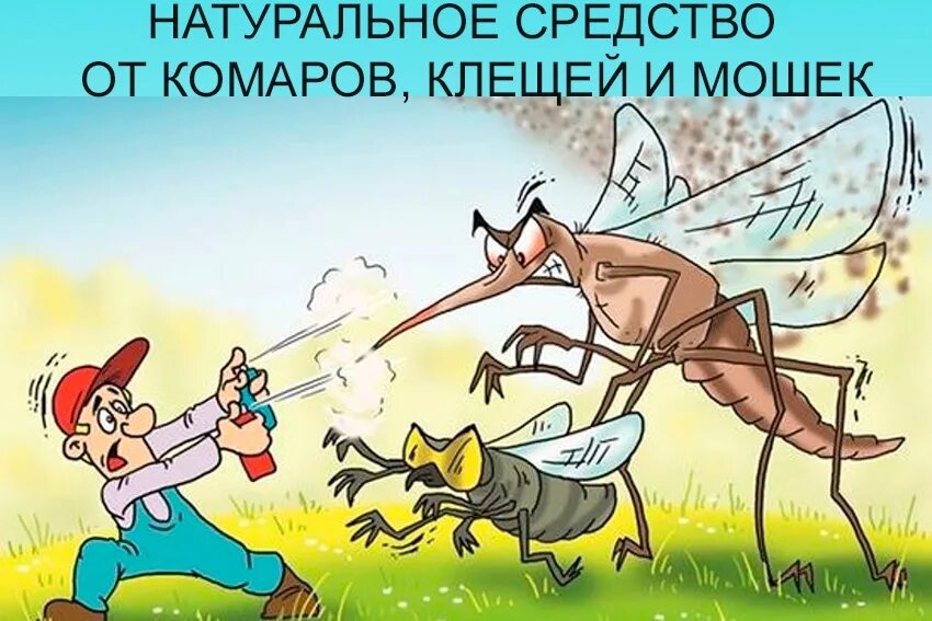 Нападение комаров. Комары и мошки. Комар карикатура. Карикатуры про комаров. Комар картинка.