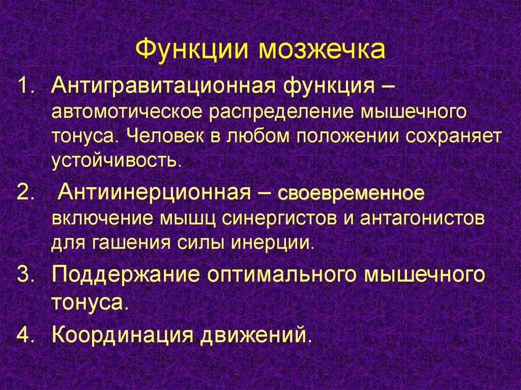 Функции мозжечка. Основные функции мозжечка. Мозжечок выполняет функции. Мозжечок функции кратко.