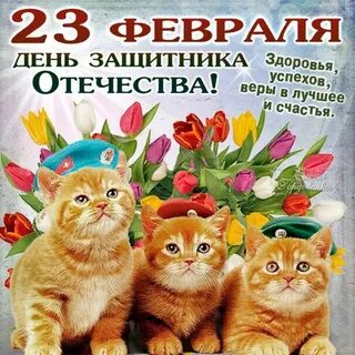 Фирма хороший день
