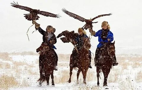 Порно ішіндегі аналь және камера