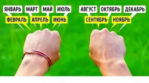 Как узнать сколько дней по костяшкам