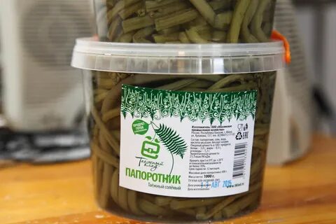 Папоротник соленый