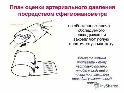 Практическая работа измерение кровяного давления