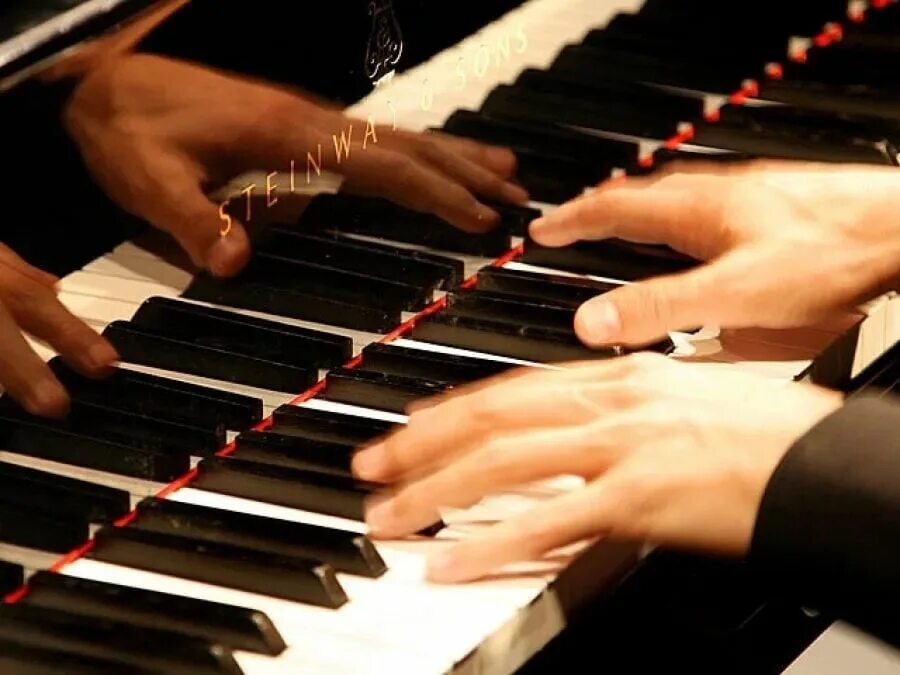 Руки пианиста. Пальцы пианиста. Кисть пианиста. Красивые пальцы пианиста. В конкурсе пианистов принимают участие 63 человека
