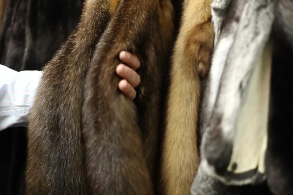 Много шуб. Изделия из норки. Шуба. Моль в шубе. Нашли шубу.