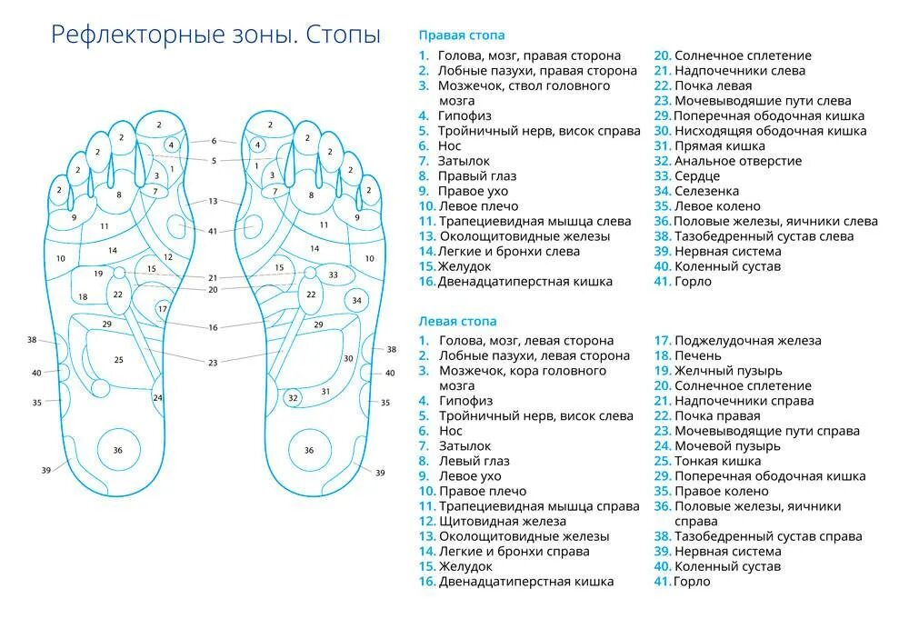 Каналы подошвы. Акупунктура и акупунктурные точки на стопе. Акупунктурные точки стопы схема. Акупунктура на стопе точки органов. Акупунктурные точки на стопе человека схема.