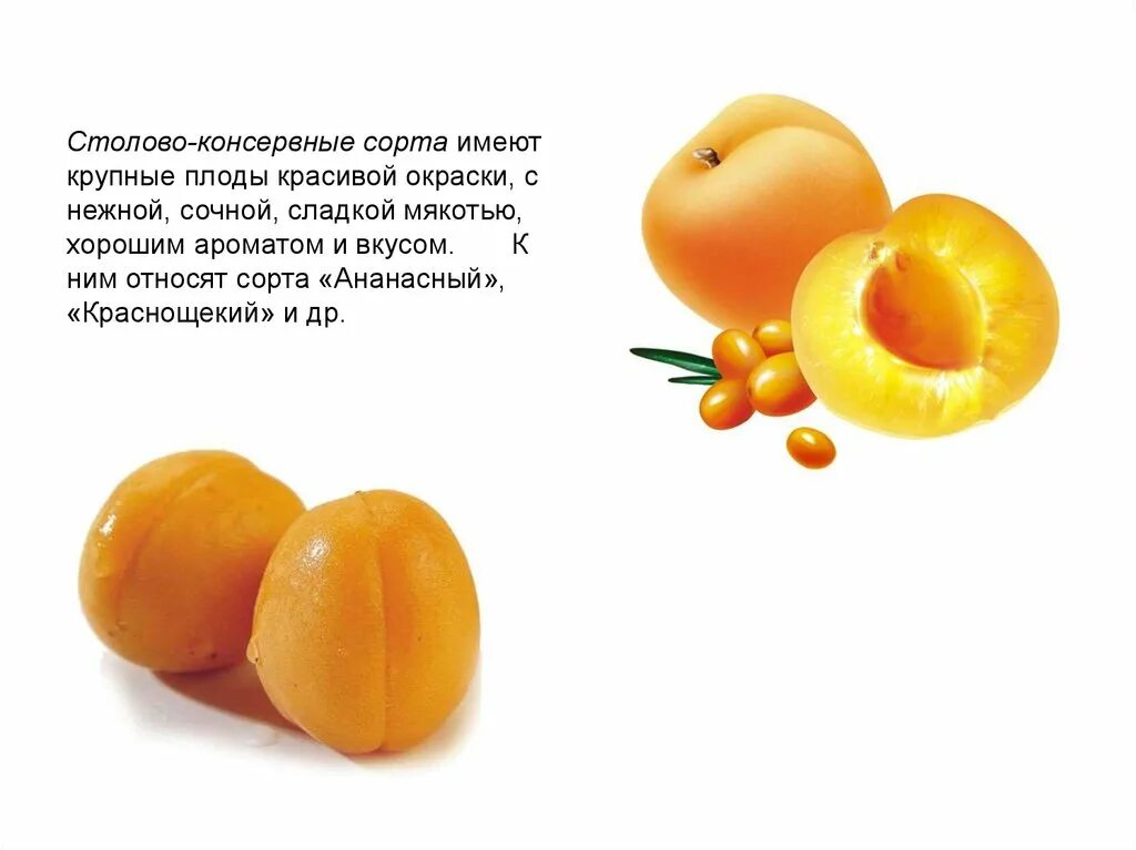 Плод не имеющий сочной мякоти. Семечковые плоды. абрикос краснощекий. свежие плоды доклад. абрикос ананасный описание фото.