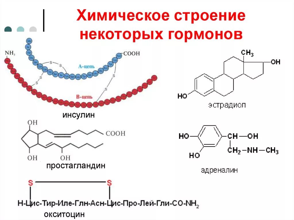 Строение гормонов химия. Химическая структура гормонов. Химическая структура гормонов окситоцин. Химическое строение гормона инсулина. Адреналин и инсулин характеристики