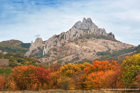 Фото заповедников крыма