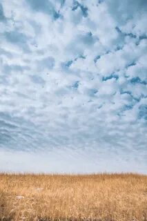 Better skies