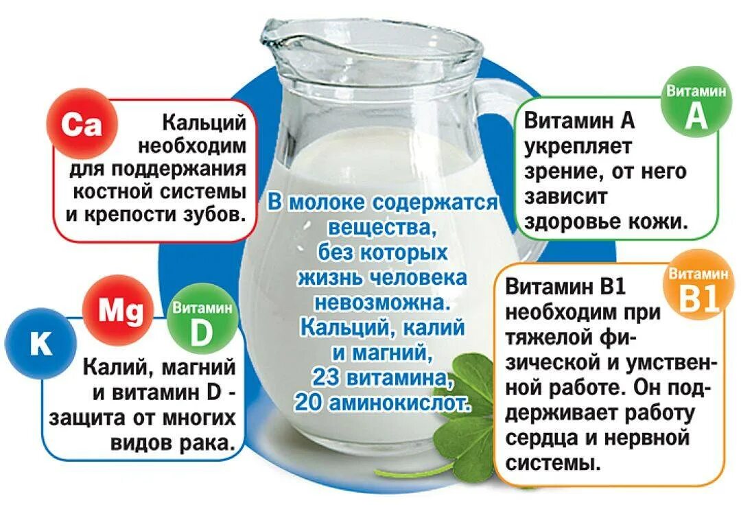 Чем полезно молоко. Польза молока. Польза молочных продуктов. Полезные свойства молока. Молоко после 50 польза и вред