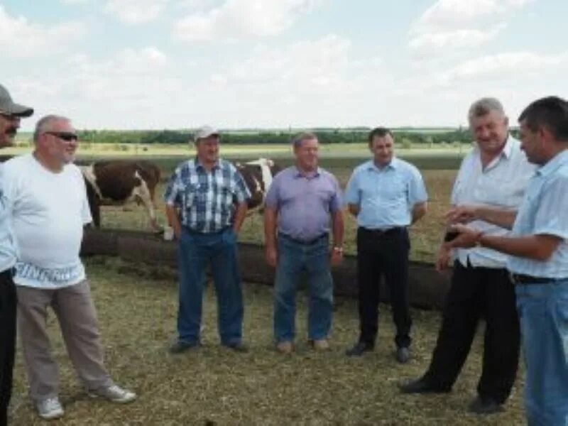 Августовка большечерниговский самарская область. СПК Пензино Самарская область Большечерниговский район село. Пензено Самарская область. Большечерниговский район Самарская область. Сельское хозяйство Большечерниговского района Самарской.