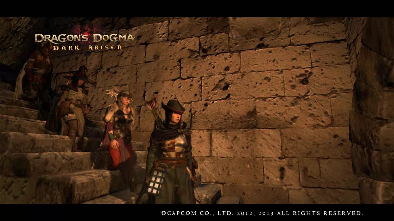 Dragon's Dogma Dark Arisen романы. Elf Dragon Dogma Dark Arisen. Dragon s dogma dark русификатор