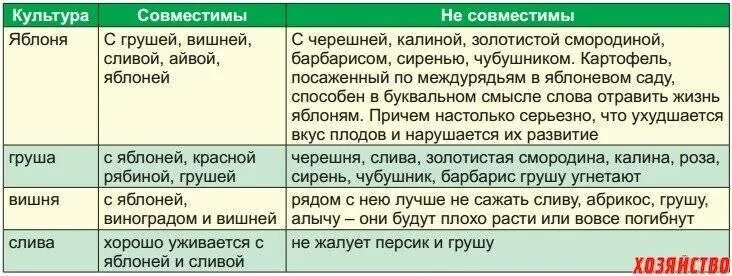 Какие плодовые можно сажать рядом