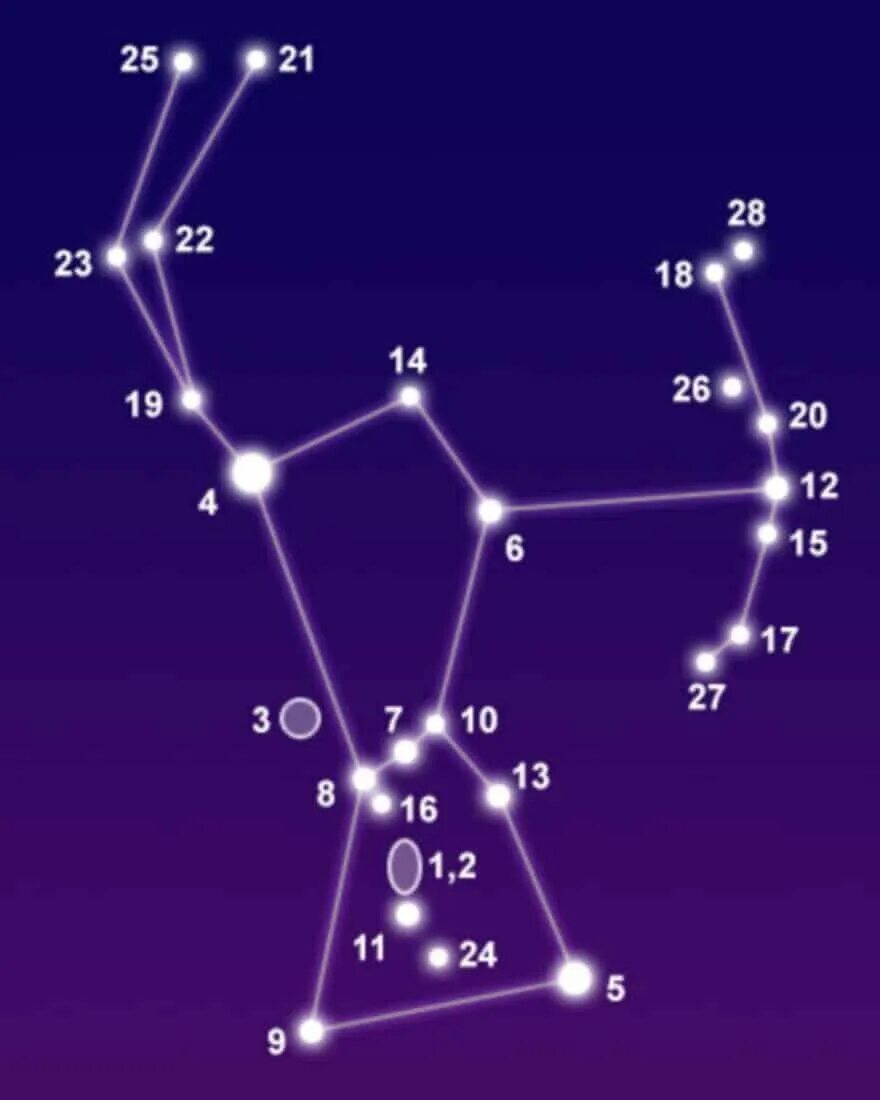 Созвездие википедия. Звезды созвездия Ореон. Как выглядит Созвездие Орион. Созвездие Орион схема. Созвездие Ориона астеризмы.