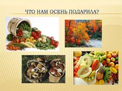Овощи и фрукты кладовая