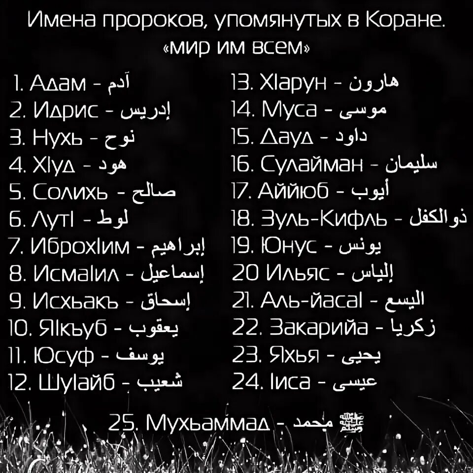 Сколько женщин в коране. Имена пророков. Имена пророков в Исламе. 25 Имен пророков. Название всех пророков.