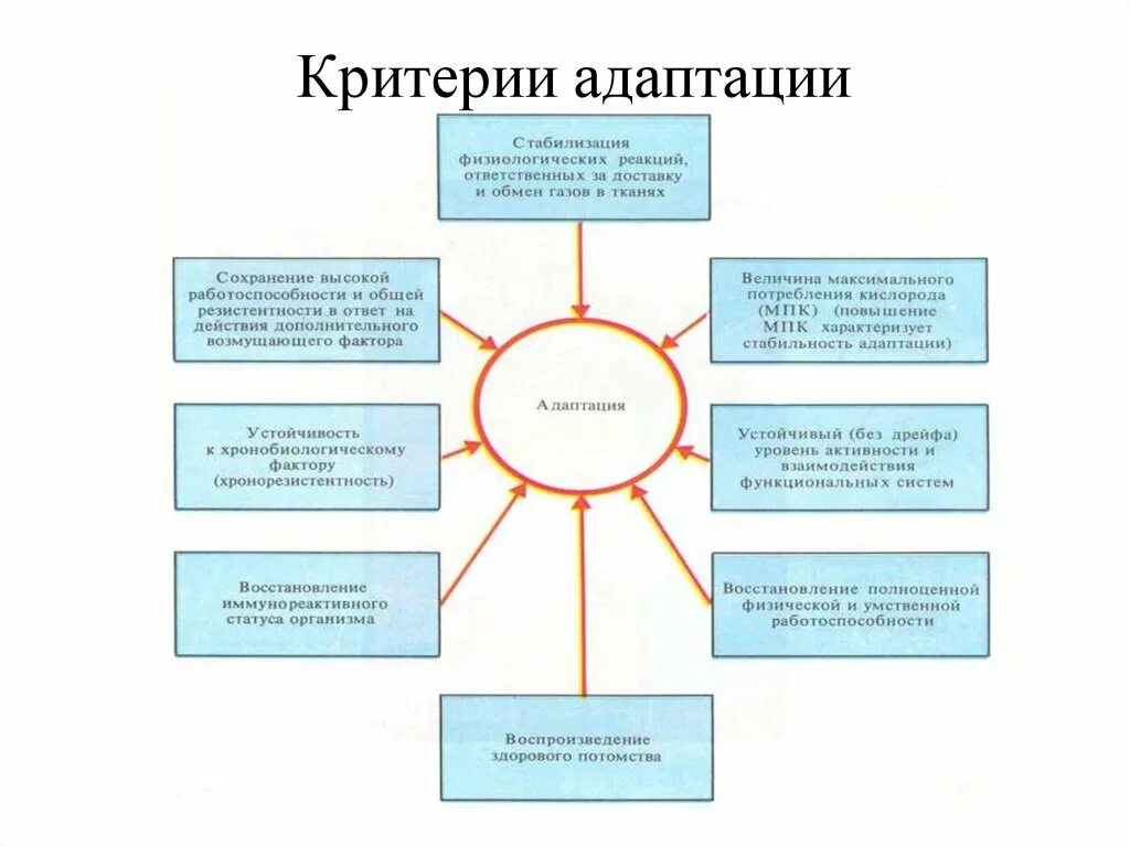 Критерии адаптации физиология. Схема адаптация организмов к условиям среды. Классификация адаптаций схема. Факторы адаптации человека.