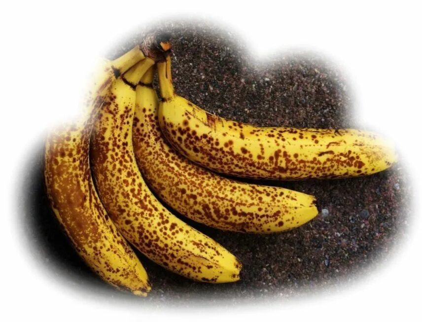 Приснился банан. Банан для сна. К чему снятся бананы. Приснилось много бананов.